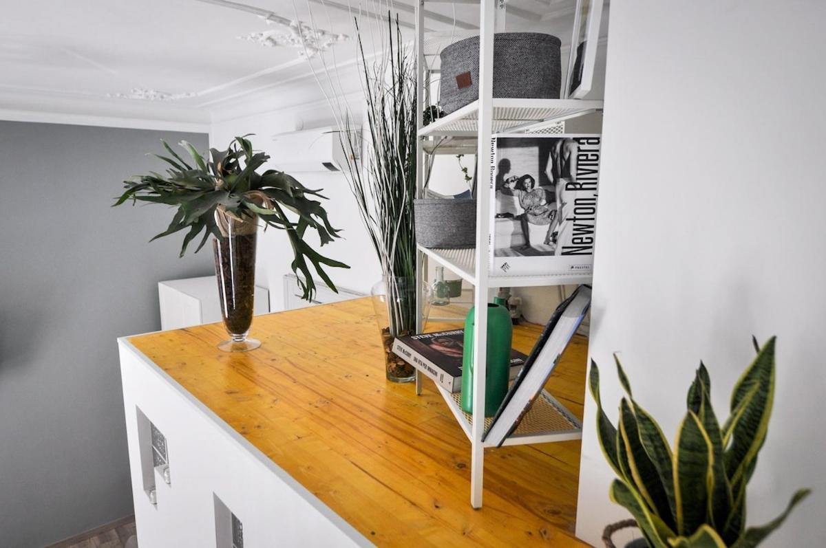 Deluxe Artistic Loft Lejlighed Torino Eksteriør billede